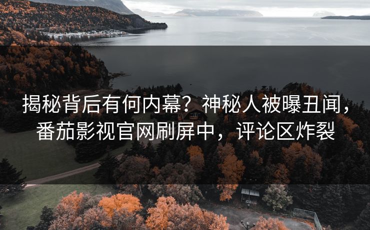 揭秘背后有何内幕？神秘人被曝丑闻，番茄影视官网刷屏中，评论区炸裂