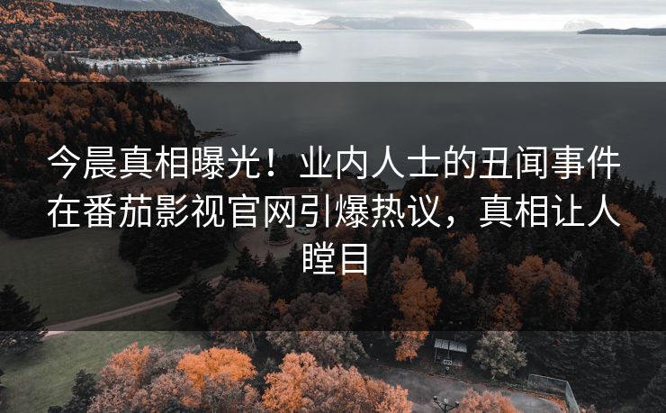 今晨真相曝光！业内人士的丑闻事件在番茄影视官网引爆热议，真相让人瞠目
