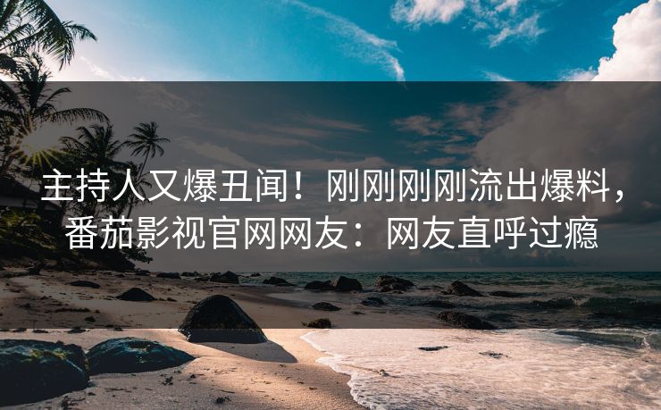 主持人又爆丑闻！刚刚刚刚流出爆料，番茄影视官网网友：网友直呼过瘾